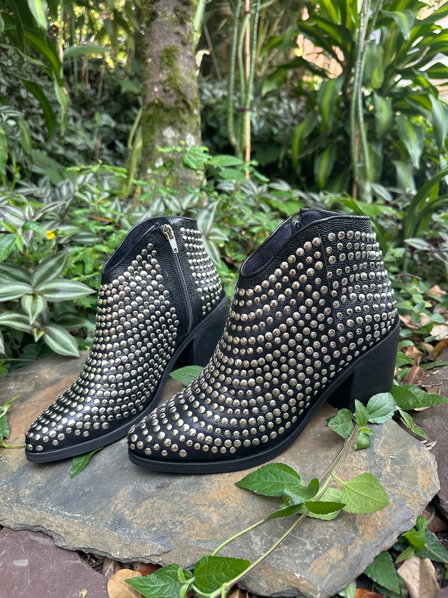 BOTIN TACHES
